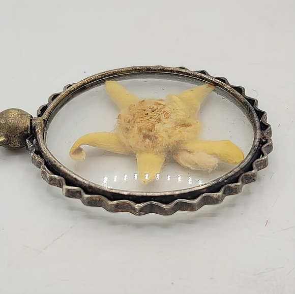 Vintage Lucite Starfish Pendant Domed Encased Specimen Silver Tone 1970s - Picture 4 of 9